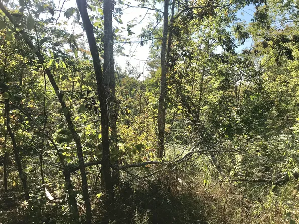 0 Middle Crk, Sandy Hook, KY 41171