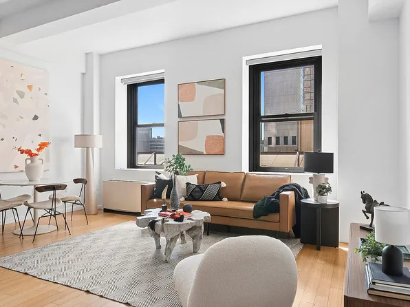 365 Bridge St #N11g, Brooklyn, NY 11201