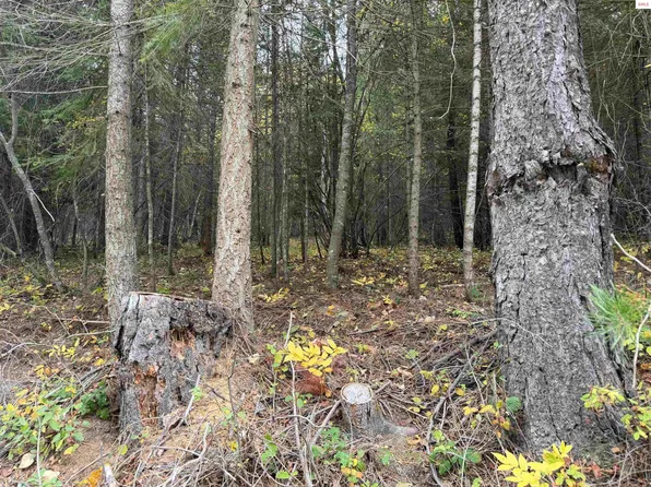 Nka Parker Cyn, Bovill, ID 83806