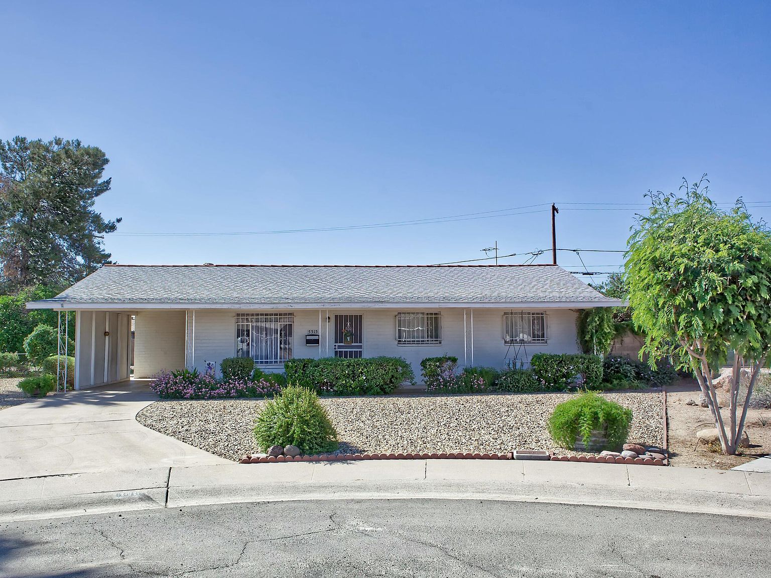 その他 PHOENIXWAN+ 期間限定OMRONスイッチ無料進呈] DJ DAO PHOENIXWAN 2022 PLUS+ LMT