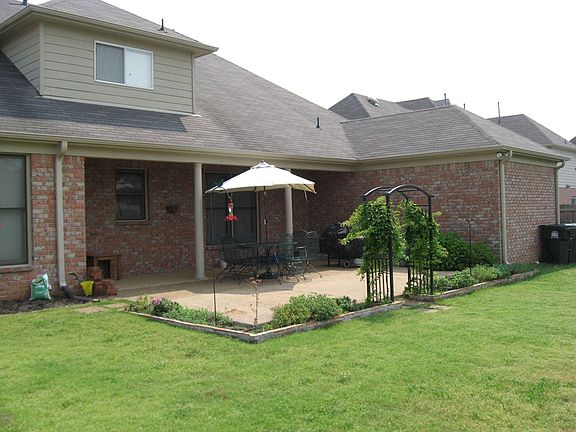 The Backyard