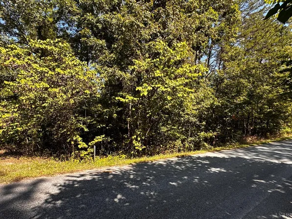 8 Nickland Lot Dr, Evington, VA 24550