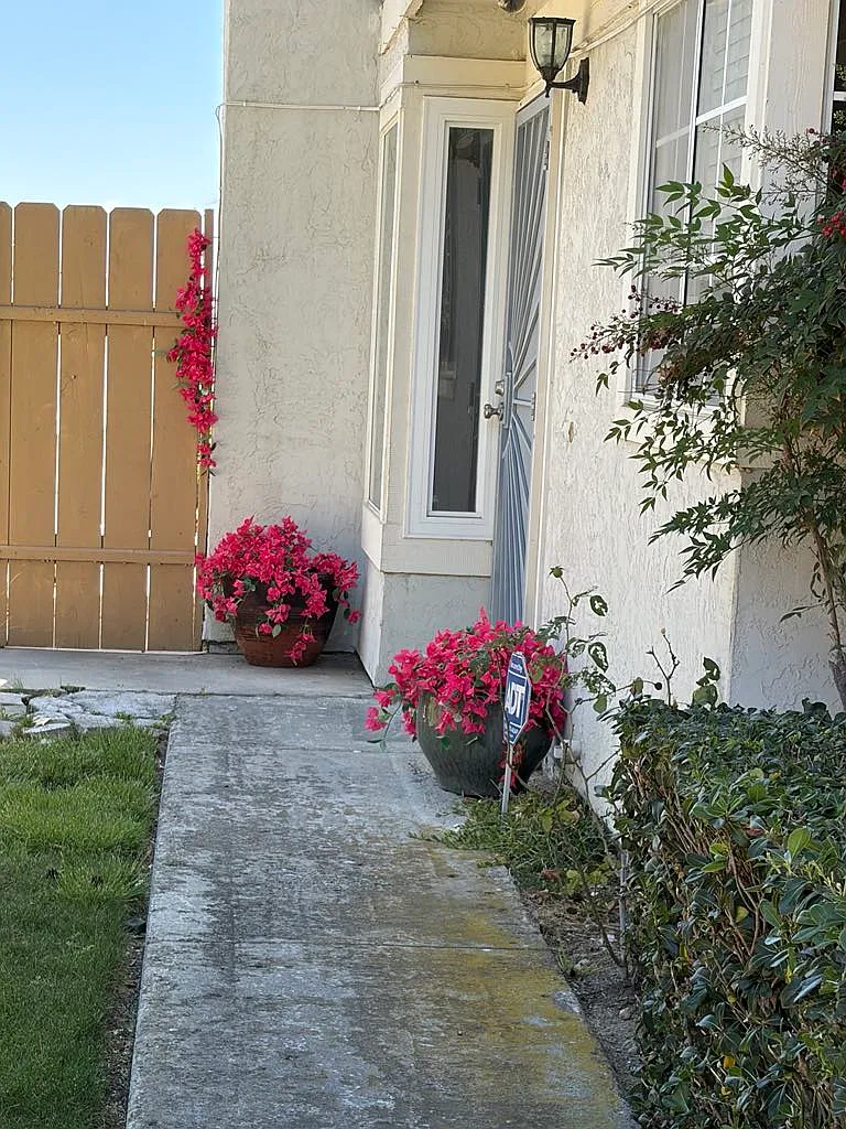 4 bed, 2.5 bath, 2000 sqft, $4,100 — Photo 2