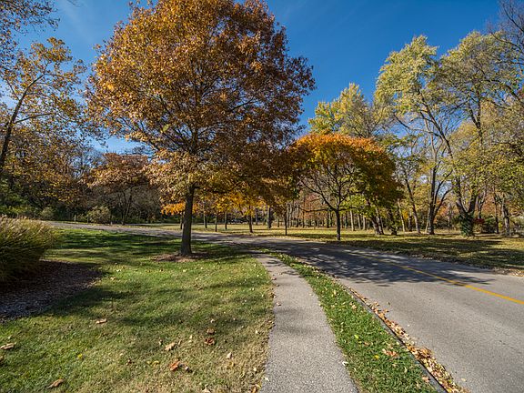Walk to Whitecliff Park
