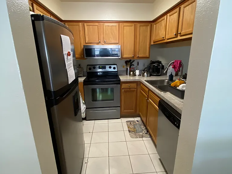 5166 Sunridge Palms Dr — Photo 4