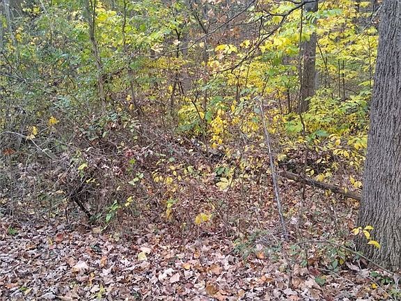 3rd image of 61000 Bolar Rd