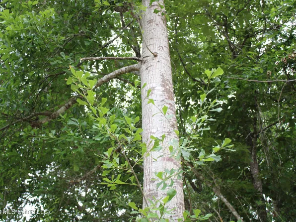 N 15th St Lot 43, Ocean Springs, MS 39564