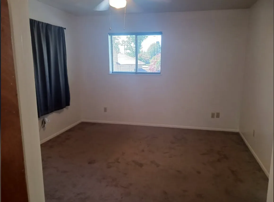 1 bed, $1,000 — Photo 3