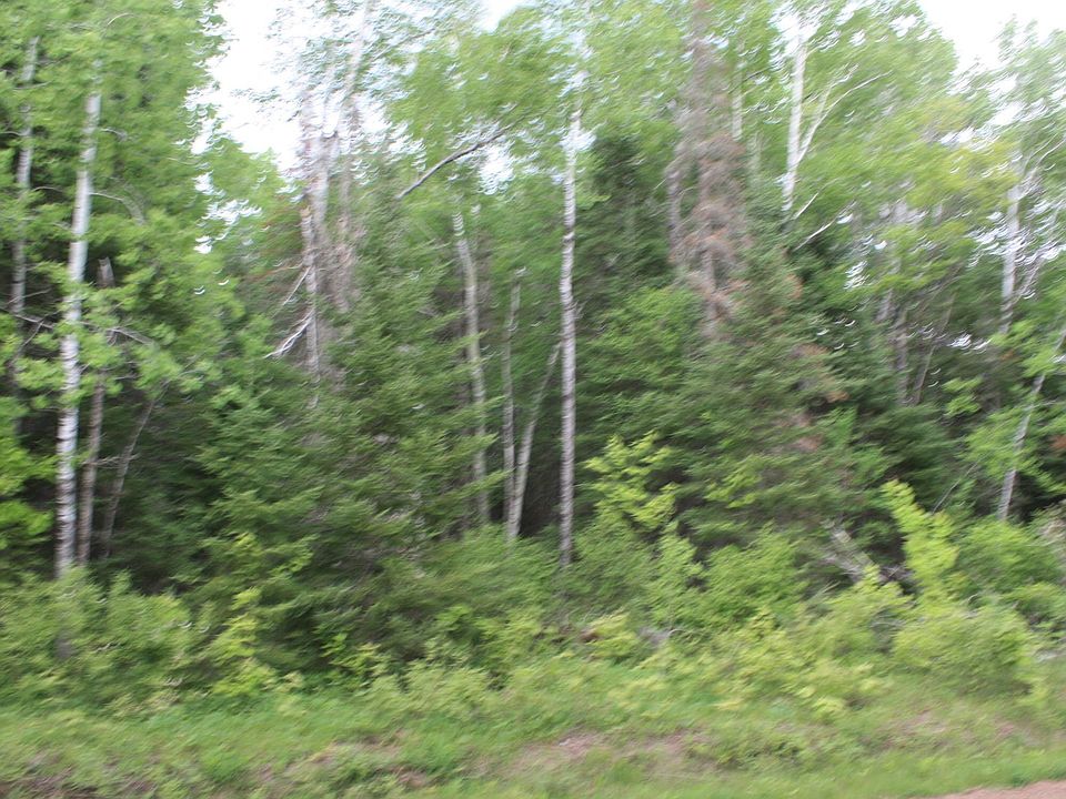 2nd image of 74XX Moose Lake Rd