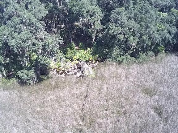 2nd image of 3544 Carolwood Ln