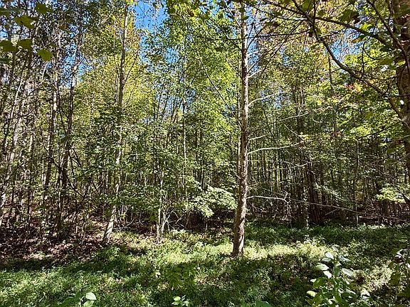 4th image of 0 Owl Hollow Rd Lot 2