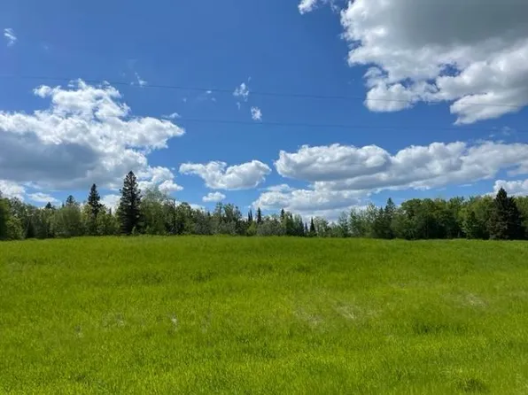 221st Ave, Bagley, MN 56621