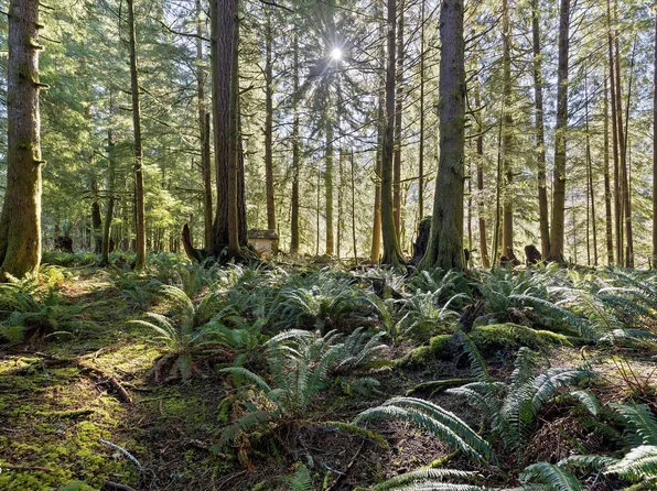 Tl 2700 N Stockton Rd, Otis, OR 97368