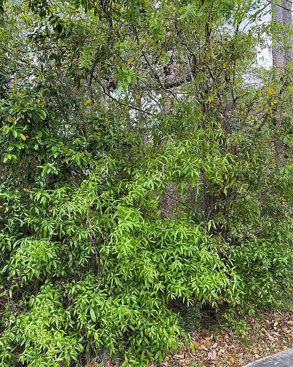 1st image of 253 E Highbanks Rd Lot 9