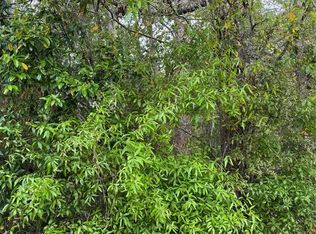 253 E Highbanks Rd Lot 9, Debary, FL 32713