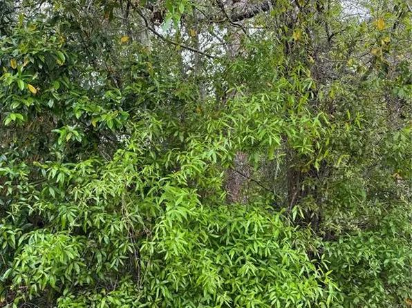 253 E Highbanks Rd Lot 9, Debary, FL 32713