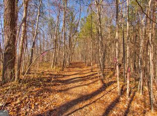 500 Chapman Ridge Ln, Dahlonega, GA 30533