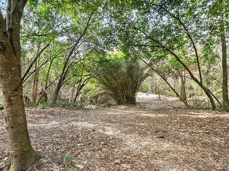73583 Military Rd — Photo 15