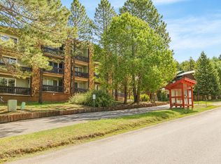16 Jackson Hole #206, Angel Fire, NM 87710