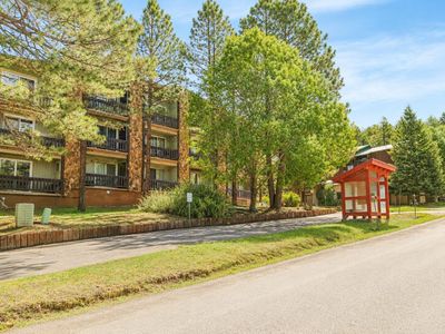 16 Jackson Hole #206, Angel Fire, NM, 87710
