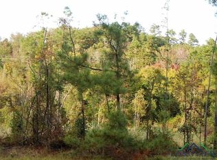 Tbd Fm 555, Gilmer, TX 75645