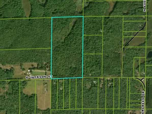 0 E Jackson St, White Cloud, MI 49349