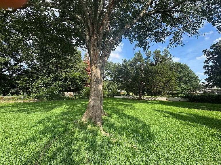 Another picture of the backyard and perfect for a BBQ or just relaxing so pretty
