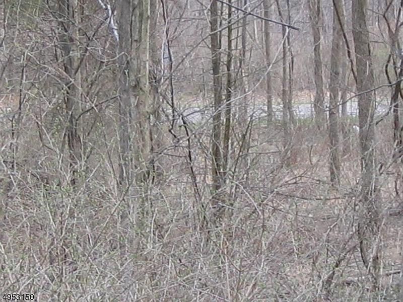 2nd image of 14 Us Highway 46