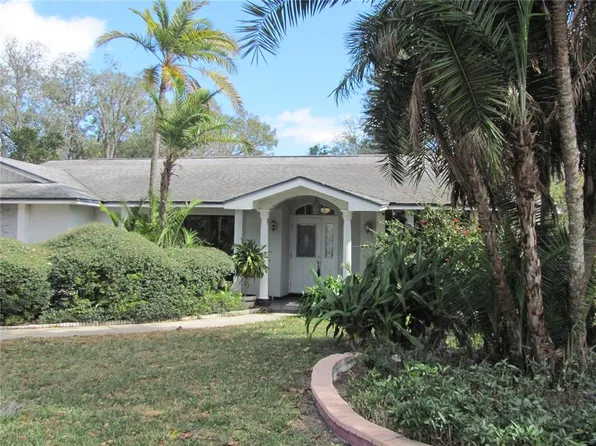 3210 Silkwood Loop, Land O Lakes, FL 34639