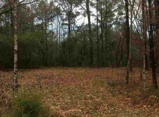 251 Sylvarena Ave, Raleigh, MS 39153