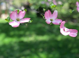 907 Ninovan Rd SE, Vienna, VA 22180