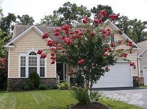 Gorgeous Home