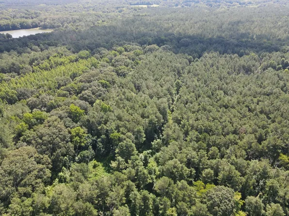 12538 Vaughan Rd, Vaughan, MS 39179