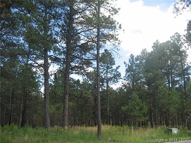 1st image of 15085 Pole Pine Pt