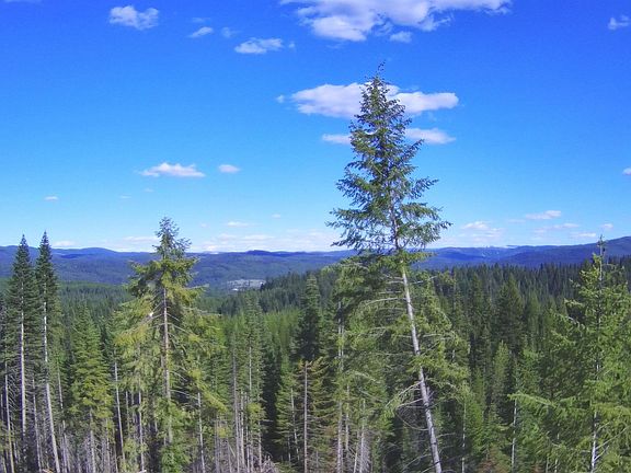 5th image of 176 W Buffalo Gulch Rd