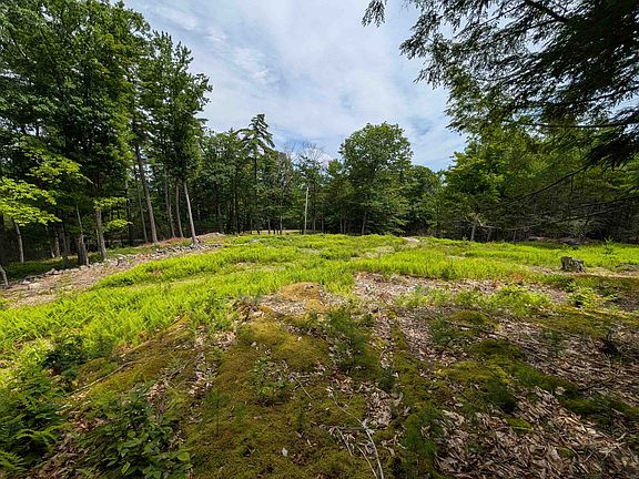 5th image of 70 High Ridge Road