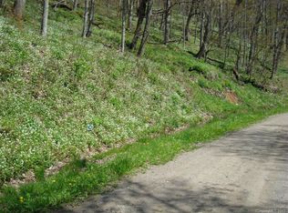 256 Hanging Rock Rd, Mars Hill, NC 28754