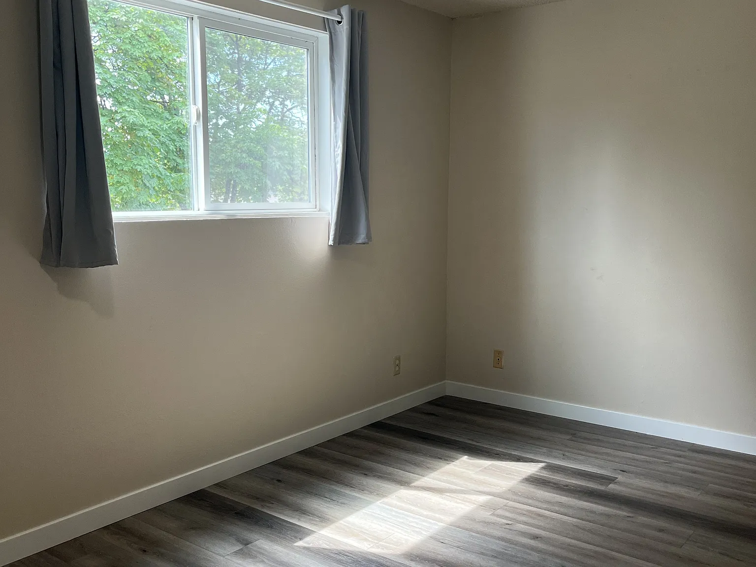 Taylor Triplex - 2 — Photo 3