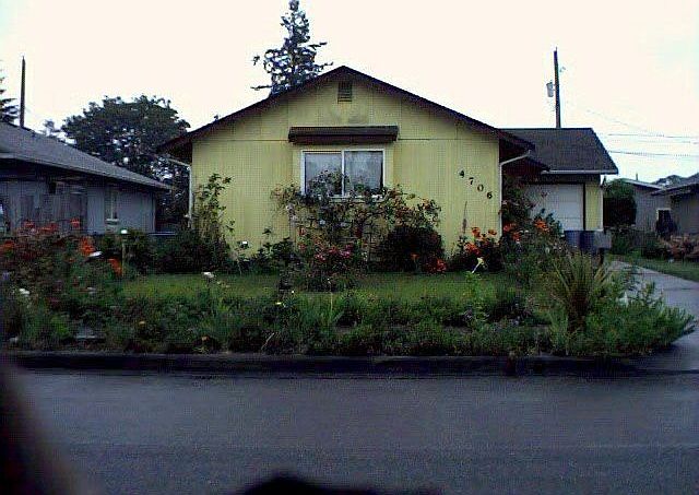 front yard