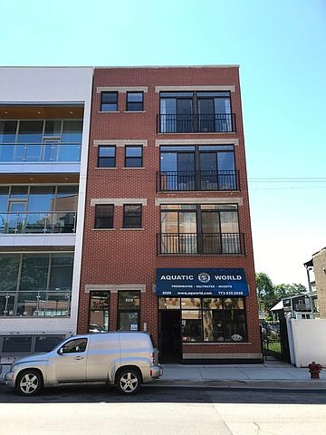 1st image of 2029 W Belmont Ave Unit 3