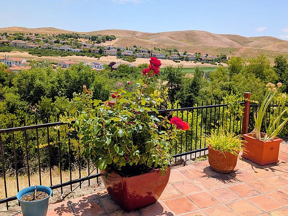 Backyard Pic 3