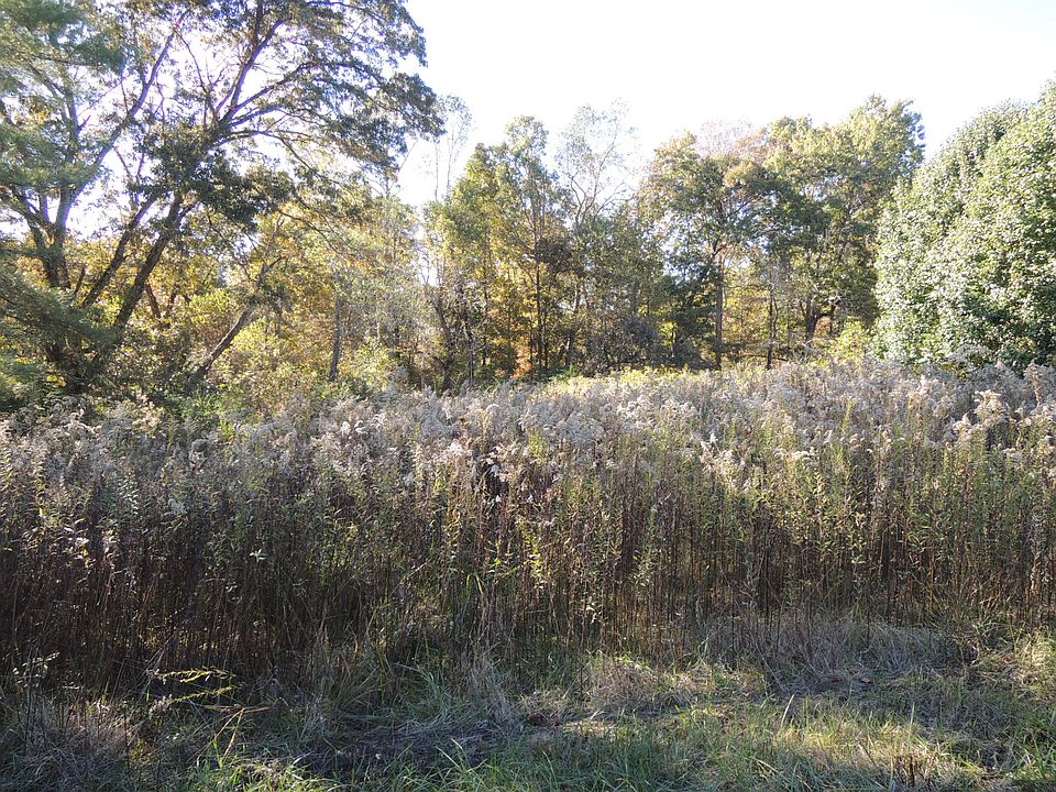 2nd image of 128 Colyers Loop