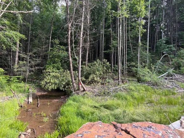 121 Acres Rte #20, Pipestem, WV 25979