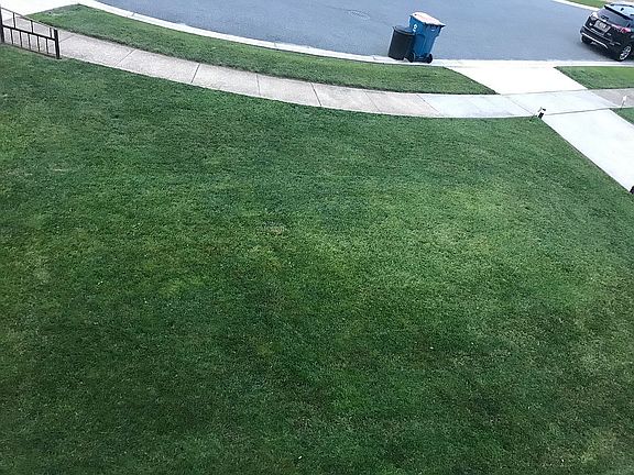 Front lawn