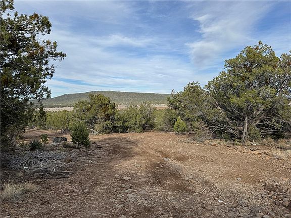 4th image of 34745 W Running Shadow Rd Unit 3