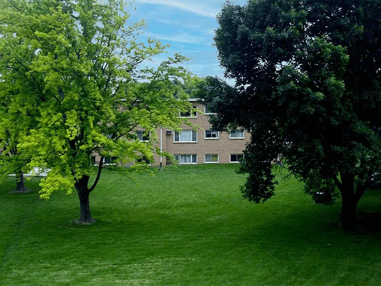 Landscaping with Shade Trees