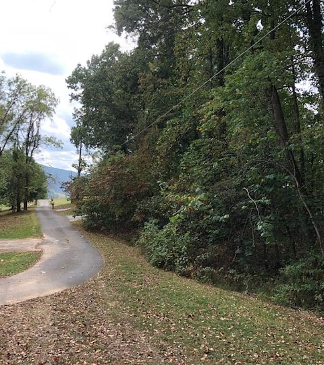 1st image of Shelby Ave