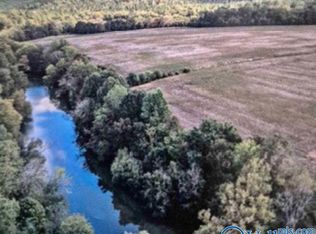 LOT 29 County Road 336, Piedmont, AL 36272