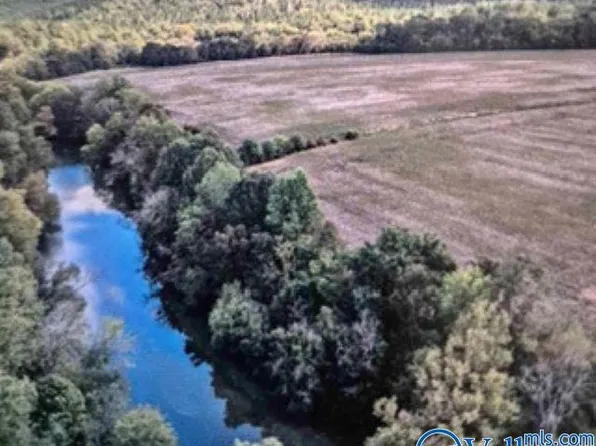 LOT 29 County Road 336, Piedmont, AL 36272