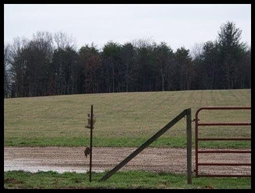 4th image of 3173 Genesis Rd